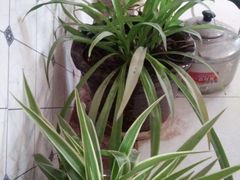 -姥家大锅台(文兴路店)