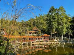 -深圳仙湖植物园
