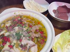 -长沙猫歌音乐餐厅(湖南女子大学店)
