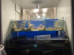 水产区-东海章鱼馆(恒瑞街店)