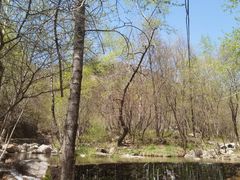 -玉渡山自然风景区