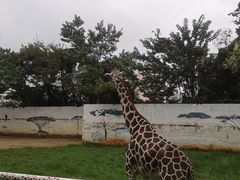 -昆明动物园