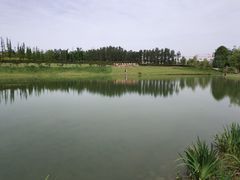 -两河城市森林公园