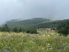-白草畔自然风景区