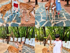 -南戴河国际娱乐中心