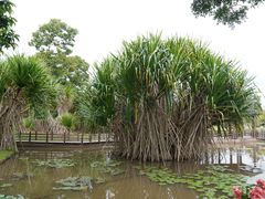 -中国科学院西双版纳热带植物园