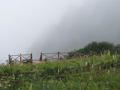 -白草畔自然风景区