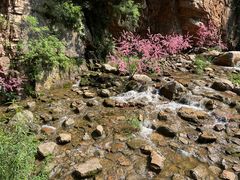 -湖洞水自然风景区