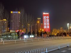 -奥体中心(地铁站)