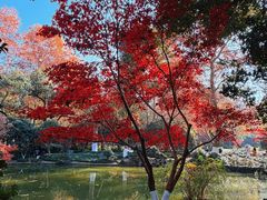 -杭州黄龙洞