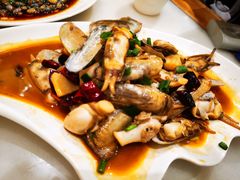 蛏子-华盛丰温州大排档(东三环南路店)