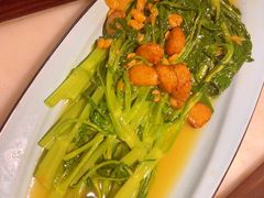 空心菜-绿茶餐厅(沙井新沙天虹店)
