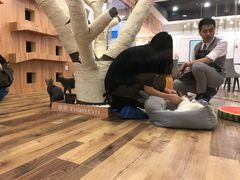 -袖虎·猫馆(体育西路店)