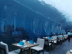 -海棠湾洲际-涛·海底餐厅·美人鱼·自助餐·海底隧道