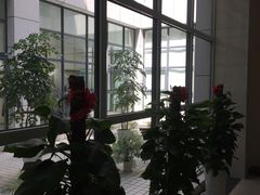 -山东大学齐鲁医院(青岛院区)