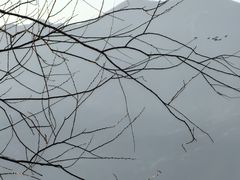 -野鸭湖国家湿地公园