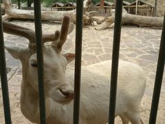 -石家庄市动物园