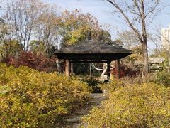 -武汉园博园(武汉自然博物馆)