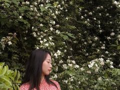 -府河摄影公园