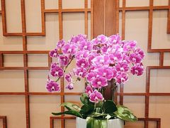 -扬州香格里拉·香宫中餐厅