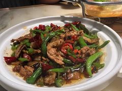 -肥猫(义乌万达店)