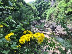 -磐安舞龙峡景区