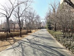 -迎泽公园