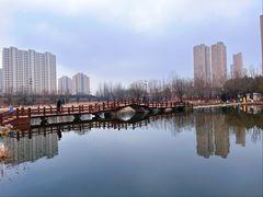 -前关湿地公园