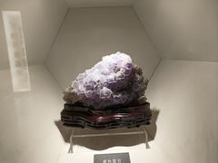-安徽省地质博物馆