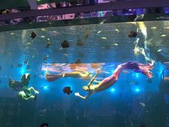 -瑞德姆美人鱼海底演艺主题餐厅(亚龙湾店)
