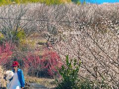 -天姥山