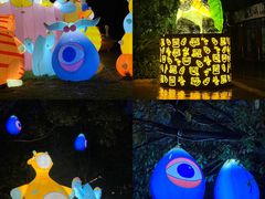 -杭州野生动物世界