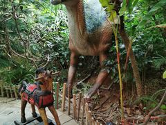 -呀路古热带植物园