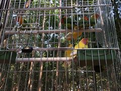 iphone_upload_pic-昆山城市生态森林公园