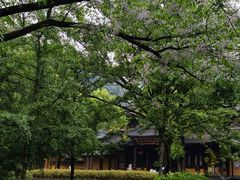 -五泄景区