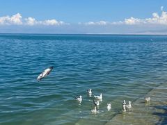 -青海湖国家重点风景名胜区
