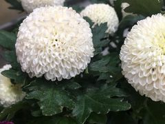 -万达广场(无锡滨湖店)