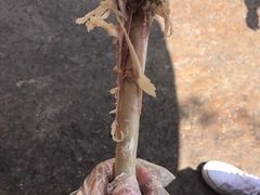 -迪士尼火鸡腿