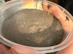 -芝麻糊世家(西华店)