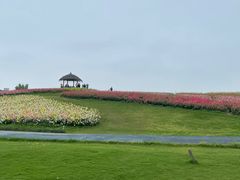 -径山花海