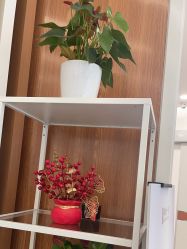 -和颜一美轻医美连锁