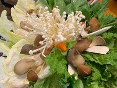 -大理老字号·舟渔的鱼野生菌海景餐厅(双廊店)