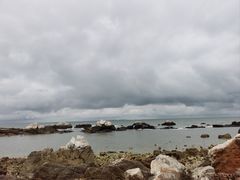 -养马岛旅游度假区