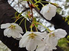 -同济大学(嘉定校区)