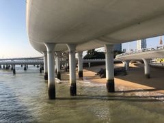 -演武大桥观景平台