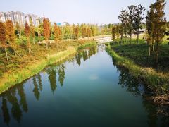 -眉山湿地公园(东坡区)