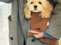 -美联众合动物医院·24h转诊中心