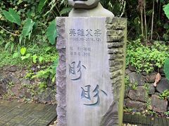 -都江堰中华大熊猫苑