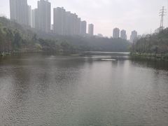 -重庆彩云湖湿地公园