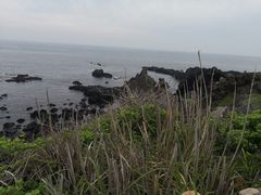 -涉地可支